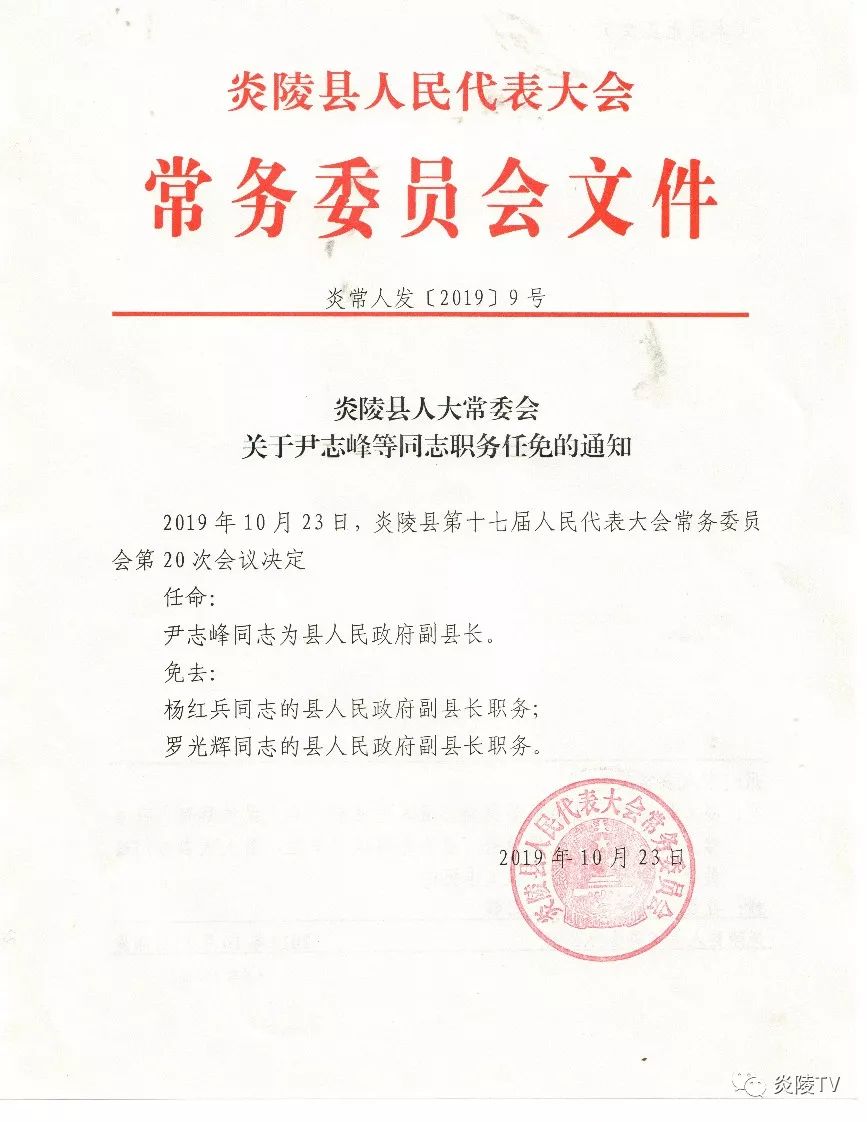 凤凰村民委员会最新人事任命及未来展望，凤凰村民委员会人事任命揭晓，未来展望与发展方向揭秘