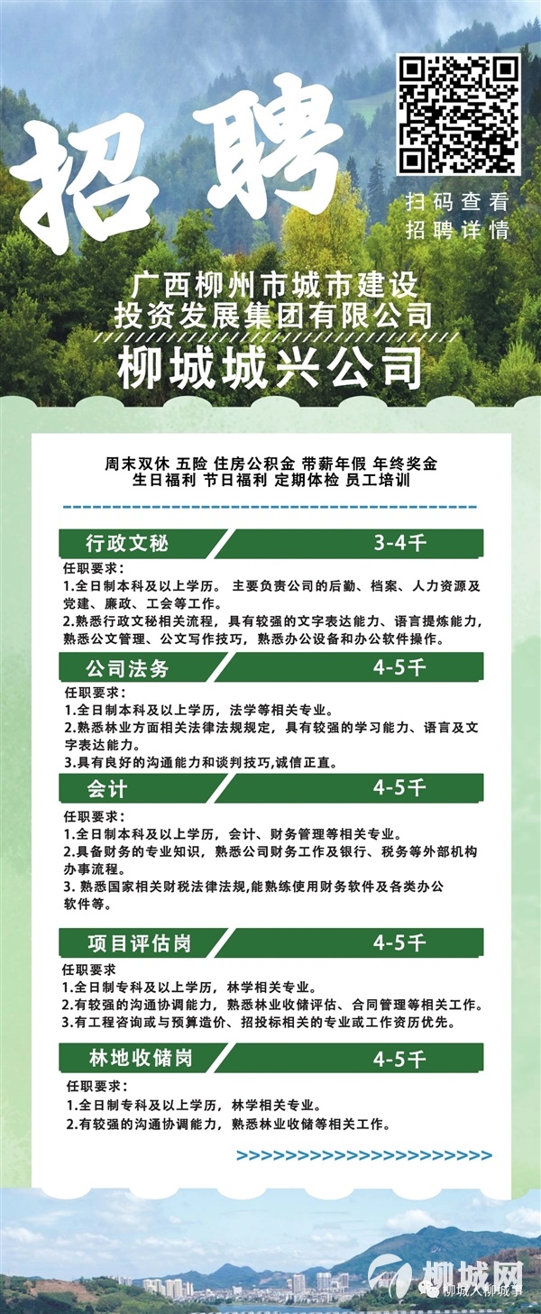 碧水林场最新招聘信息及其相关内容探讨，碧水林场最新招聘信息详解与相关内容探讨