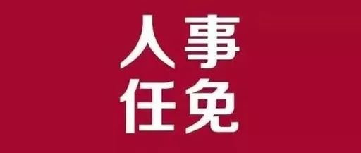 端州区审计局最新人事任命及其深远影响，端州区审计局人事任命揭晓，深远影响的变革