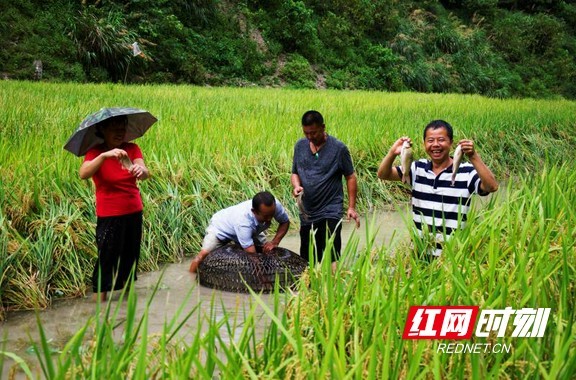 马底驿乡最新发展规划揭秘，塑造未来乡村新典范，马底驿乡最新发展规划揭晓，塑造未来乡村新典范